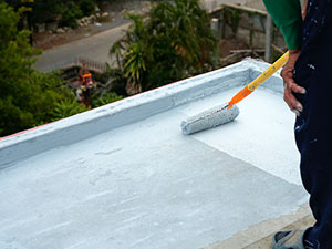 Roof Coating