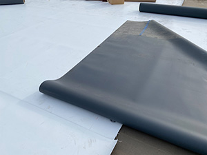 PVC Single Ply1