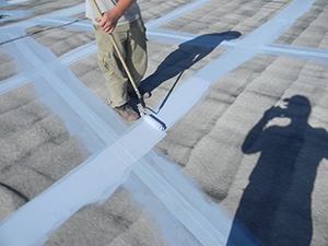 Roof Coating1