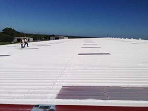 Roof Coating Building1