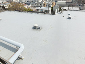 Roof Restoration