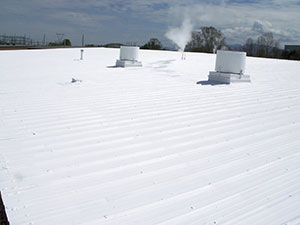 Roof Restoration1