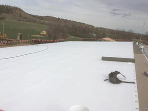 Roof Replacement1